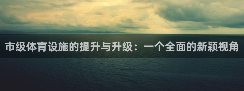 意昂体育4联系电话：市级体育设施的提升与升级：一个全
