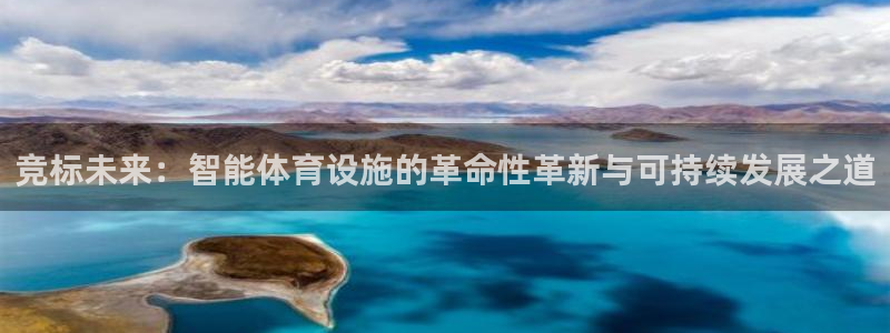 意昂体育4是干嘛的公司：竞标未来：智能体育设施的革命