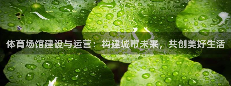 意昂体育4招商电话是多少啊：体育场馆建设与运营：构建
