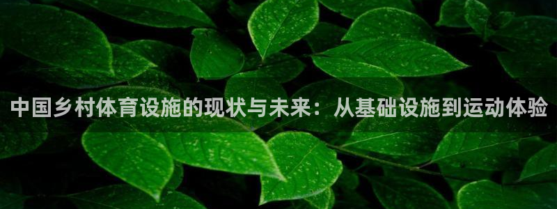 德国意昂4集团：中国乡村体育设施的现状与未来：从基础设施到运
