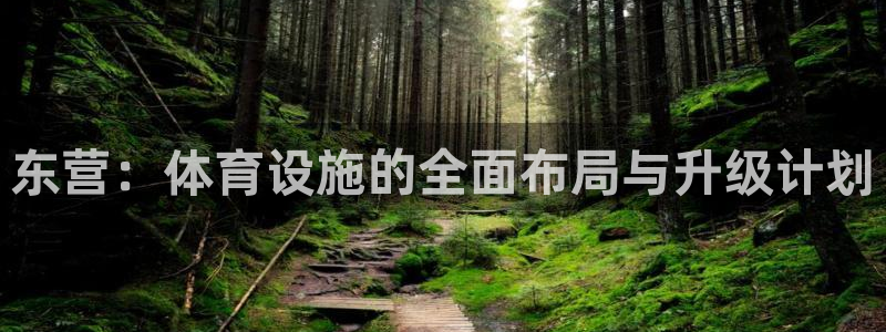 意昂4娱乐平台：东营：体育设施的全面布局与升级计划