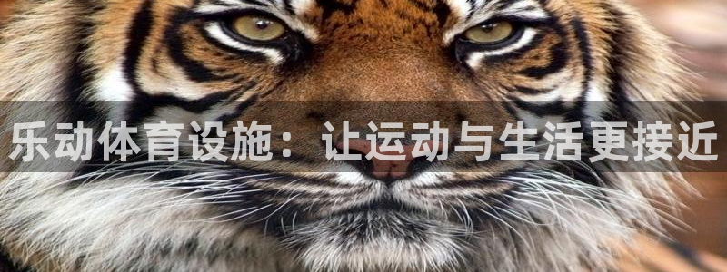 海南意昂体育4：乐动体育设施：让运动与生活更接近