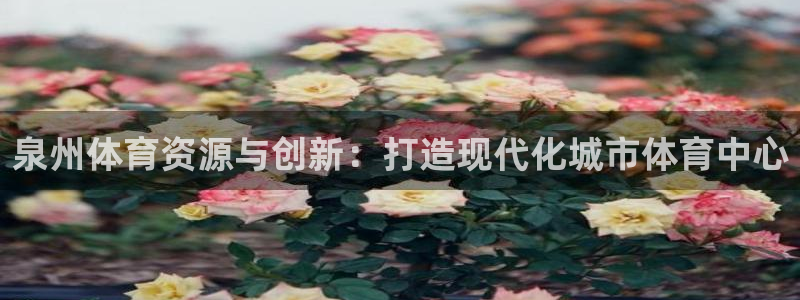 意昂体育4开户