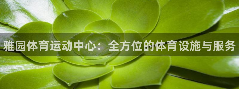 意昂4官方：雅园体育运动中心：全方位的体育设施与服务
