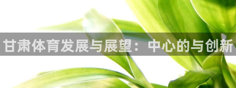 意昂体育4招商电话号码查询是多少：甘肃体育发展与展望