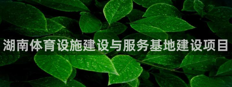 意昂4五金厂：湖南体育设施建设与服务基地建设项目