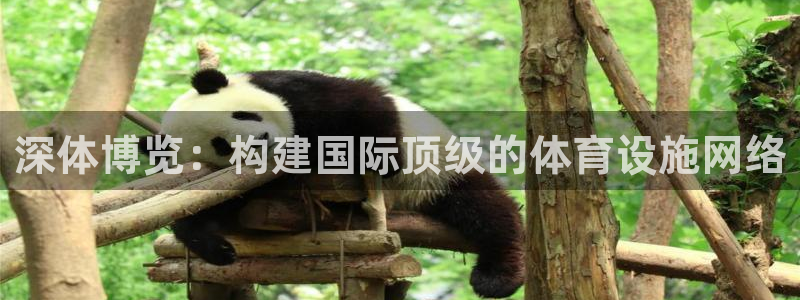 德国意昂4集团：深体博览：构建国际顶级的体育设施网络