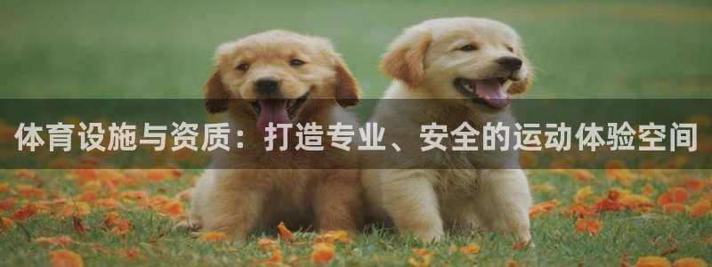 意昂4娱乐网站：体育设施与资质：打造专业、安全的运动