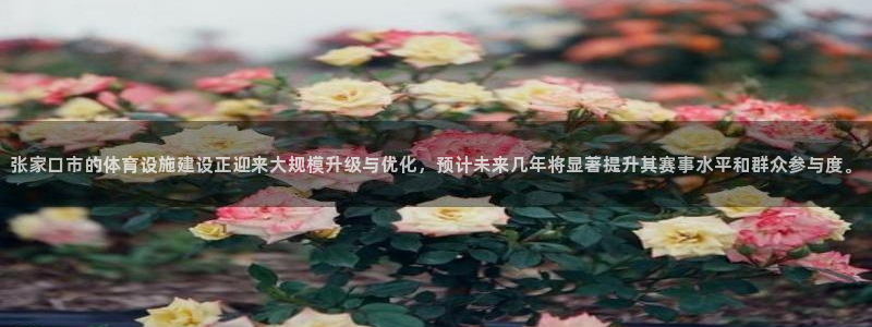 意昂体育4平台：张家口市的体育设施建设正迎来大规模升