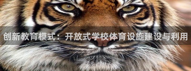 意昂体育4平台注册要钱吗：创新教育模式：开放式学校体育设施建