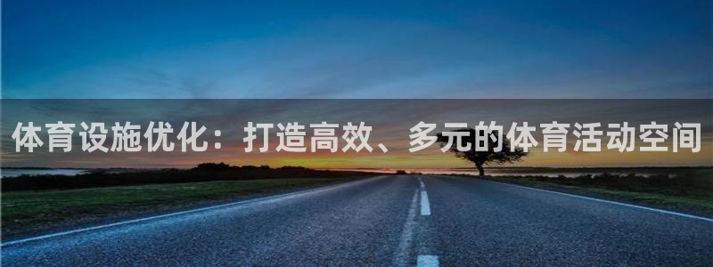 意昂体育4软件：体育设施优化：打造高效、多元的体育活