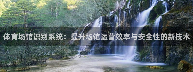 意昂4开户：体育场馆识别系统：提升场馆运营效率与安全