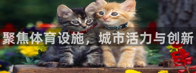 意昂4娱乐代理怎么样：聚焦体育设施，城市活力与创新