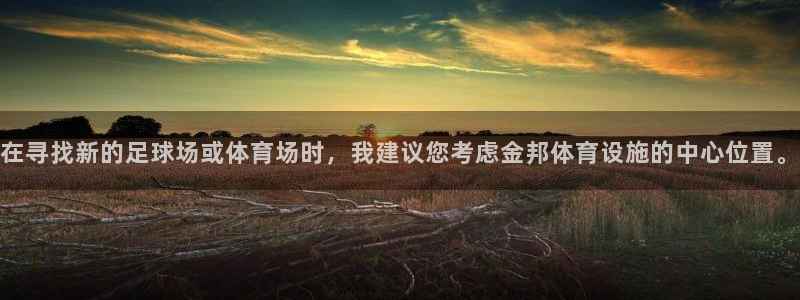 意昂4官方：在寻找新的足球场或体育场时，我建议您考虑