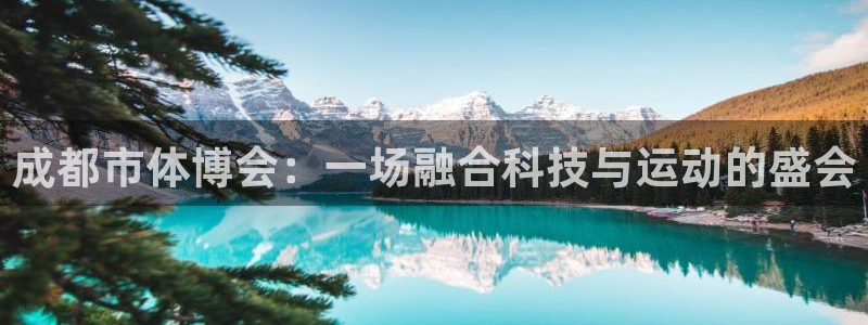 意昂体育4注册：成都市体博会：一场融合科技与运动的盛