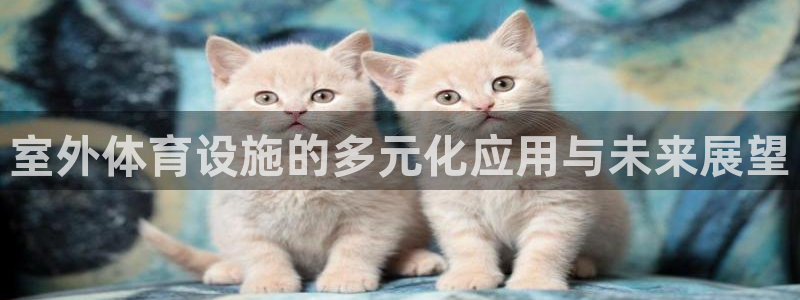 意昂体育4平台是正规平台吗知乎：室外体育设施的多元化