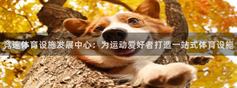 意昂4集团官网首页网址：竞速体育设施发展中心：为运动