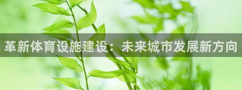 意昂4五金厂：革新体育设施建设：未来城市发展新方向