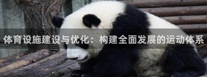 意昂体育4平台假的吗是真的吗：体育设施建设与优化：构
