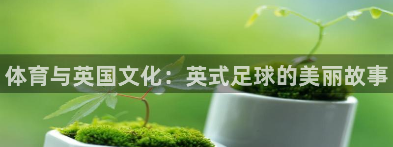 意昂体育4招商电话地址查询