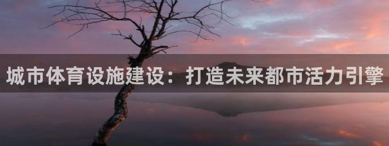 海南意昂体育4：城市体育设施建设：打造未来都市活力引