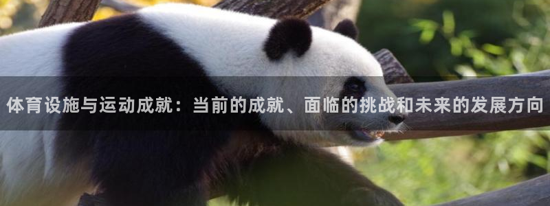 意昂4官网：体育设施与运动成就：当前的成就、面临的挑
