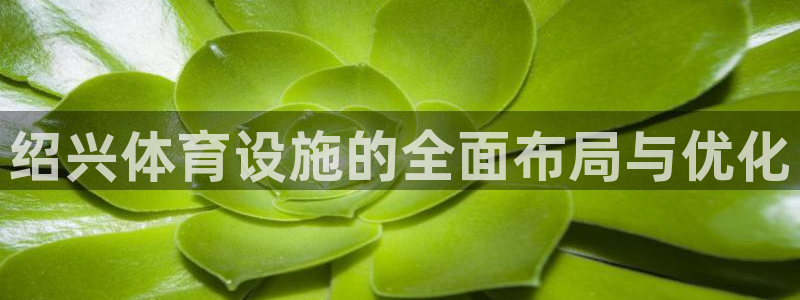 意昂4集团简介：绍兴体育设施的全面布局与优化
