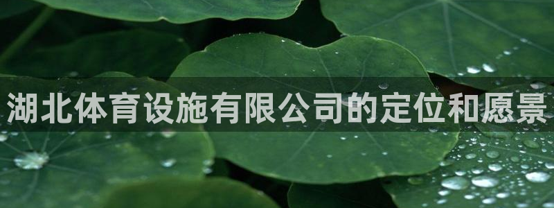 意昂体育4招商电话是多少：湖北体育设施有限公司的定位