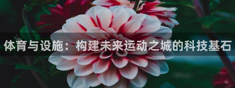 意昂4代理：体育与设施：构建未来运动之城的科技基石