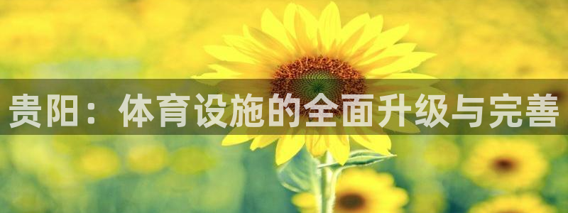 意昂体育4平台APP：贵阳：体育设施的全面升级与完善