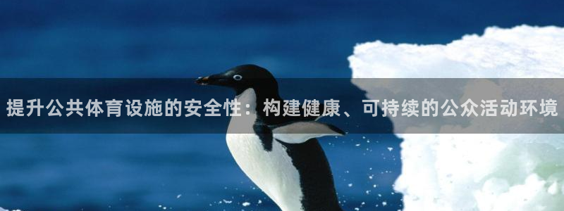 意昂4娱乐网站：提升公共体育设施的安全性：构建健康、可持续的