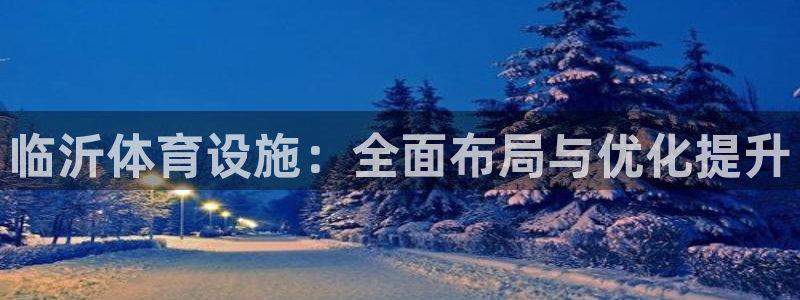意昂体育4娱乐：临沂体育设施：全面布局与优化提升