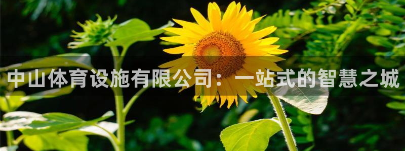 意昂体育4软件：中山体育设施有限公司：一站式的智慧之