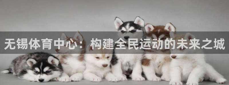 意昂体育4平台是正规平台吗：无锡体育中心：构建全民运