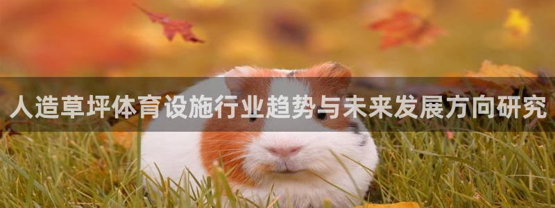 注册意昂4：人造草坪体育设施行业趋势与未来发展方向研