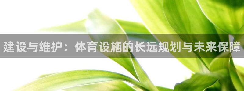 意昂4开户：建设与维护：体育设施的长远规划与未来保障