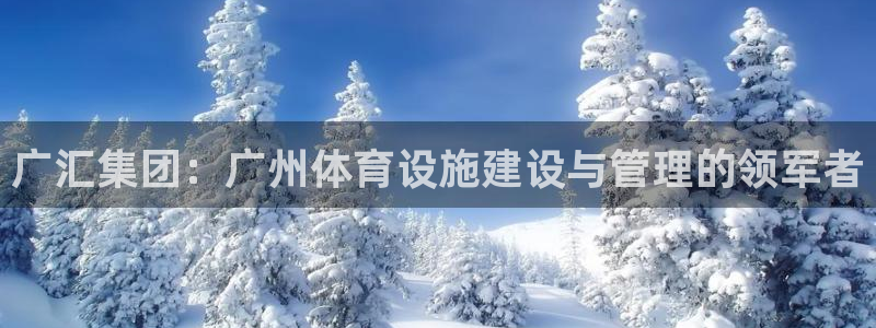 意昂体育4平台注册要钱吗安全吗：广汇集团：广州体育设施建设与