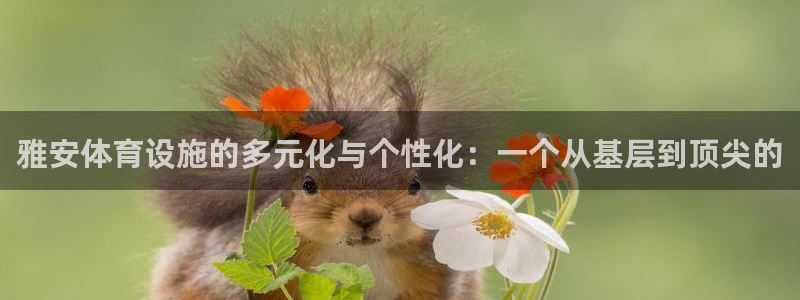 意昂4集团：雅安体育设施的多元化与个性化：一个从基层