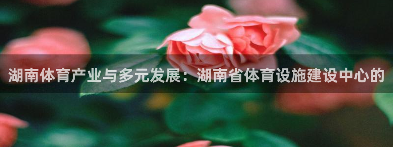 意昂体育4招商电话