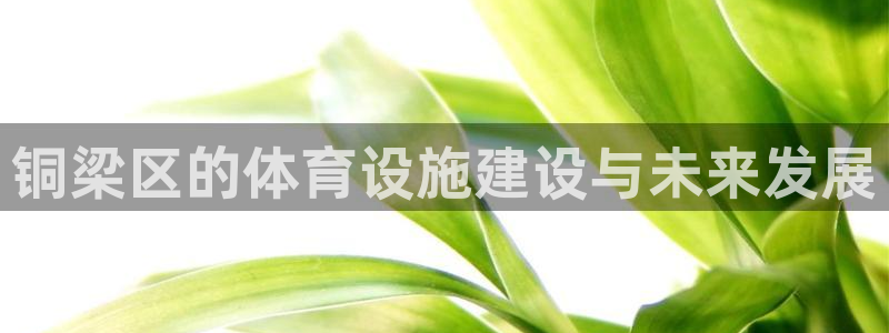 意昂体育4开户：铜梁区的体育设施建设与未来发展