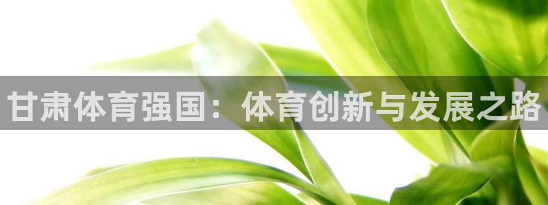意昂4娱乐首页网站大全：甘肃体育强国：体育创新与发展之路