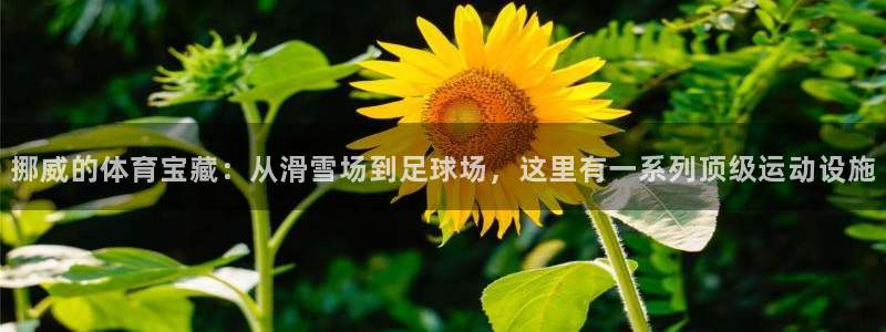 意昂体育4平台是正规平台吗安全吗：挪威的体育宝藏：从滑雪场到
