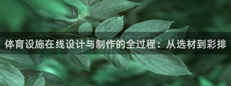 意昂体育4平台注册流程图：体育设施在线设计与制作的全过程：从
