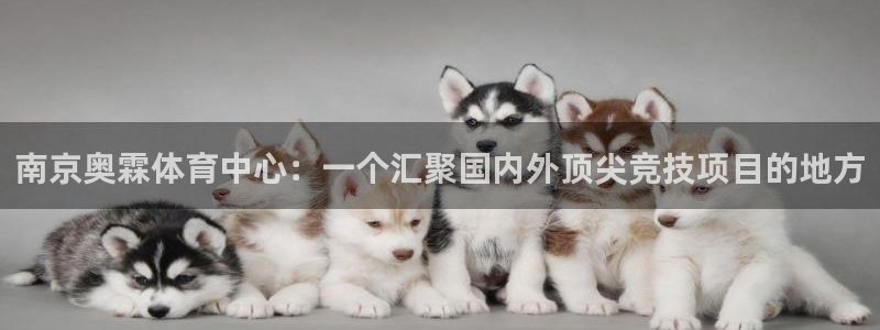 意昂4五金厂：南京奥霖体育中心：一个汇聚国内外顶尖竞