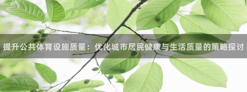 意昂体育4软件：提升公共体育设施质量：优化城市居民健康与生活