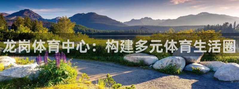 意昂体育4软件：龙岗体育中心：构建多元体育生活圈