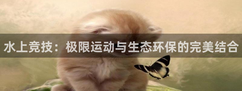 意昂4五金厂：水上竞技：极限运动与生态环保的完美结合