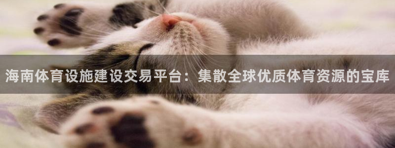 意昂体育4平台：海南体育设施建设交易平台：集散全球优