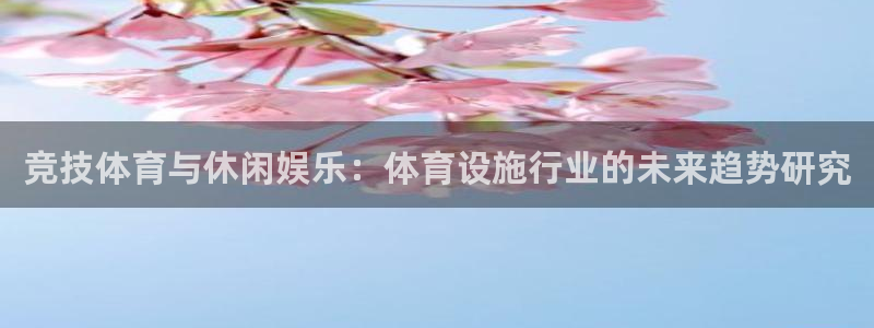 意昂集团官网：竞技体育与休闲娱乐：体育设施行业的未来