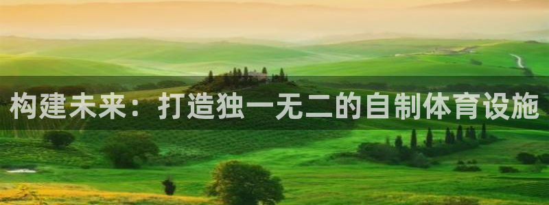 意昂体育4官方客服电话：构建未来：打造独一无二的自制体育设施